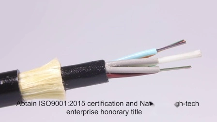 Indoor/Outdoor 1 2 4 Core G657A1/A2 GJYXFCH FRP/Steel Wire Single Mode FTTH Drop Flat Optic/Optical Fiber Cable