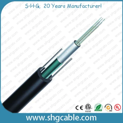 2-12 Fibers Unitube Outdoor Fiber Optic Cable (GYXTW)